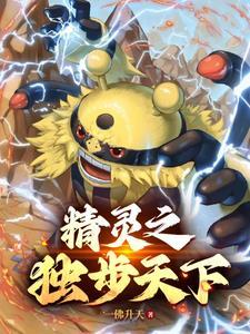 精灵宝可梦之登神长街陈轩介绍