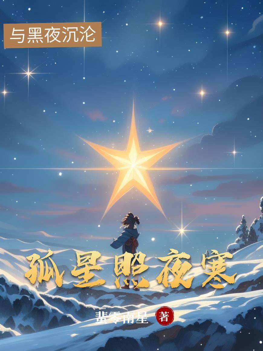 孤夜照寒灯全集