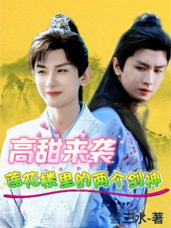 莲花楼全部剑法介绍