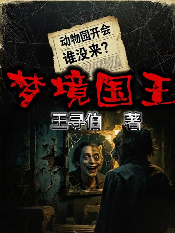 梦王国wiii