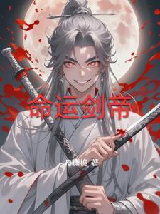 剑舞命运之夜