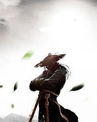 夏日风情阅读